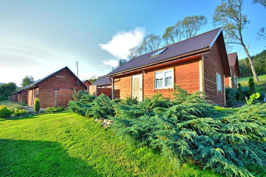 Villa U Źródeł Strwiąża Ustrzyki Dolne Exterior foto