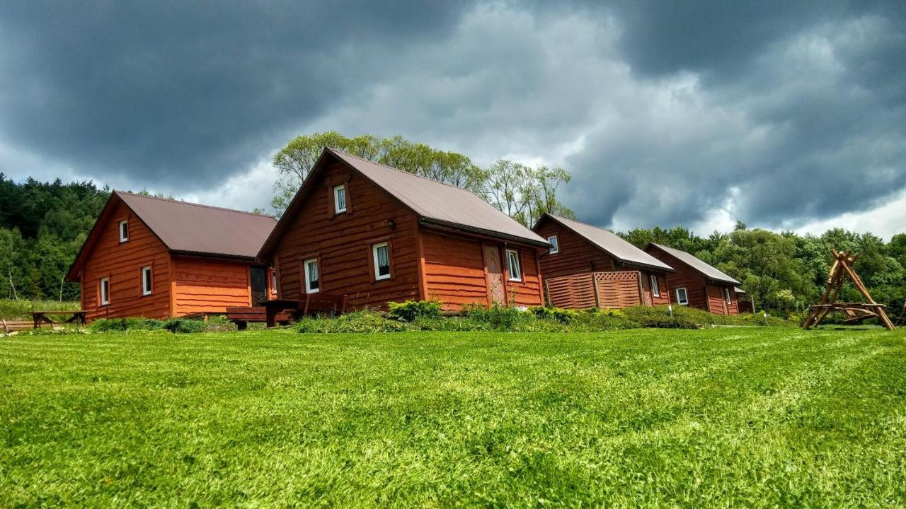 Villa U Źródeł Strwiąża Ustrzyki Dolne Exterior foto