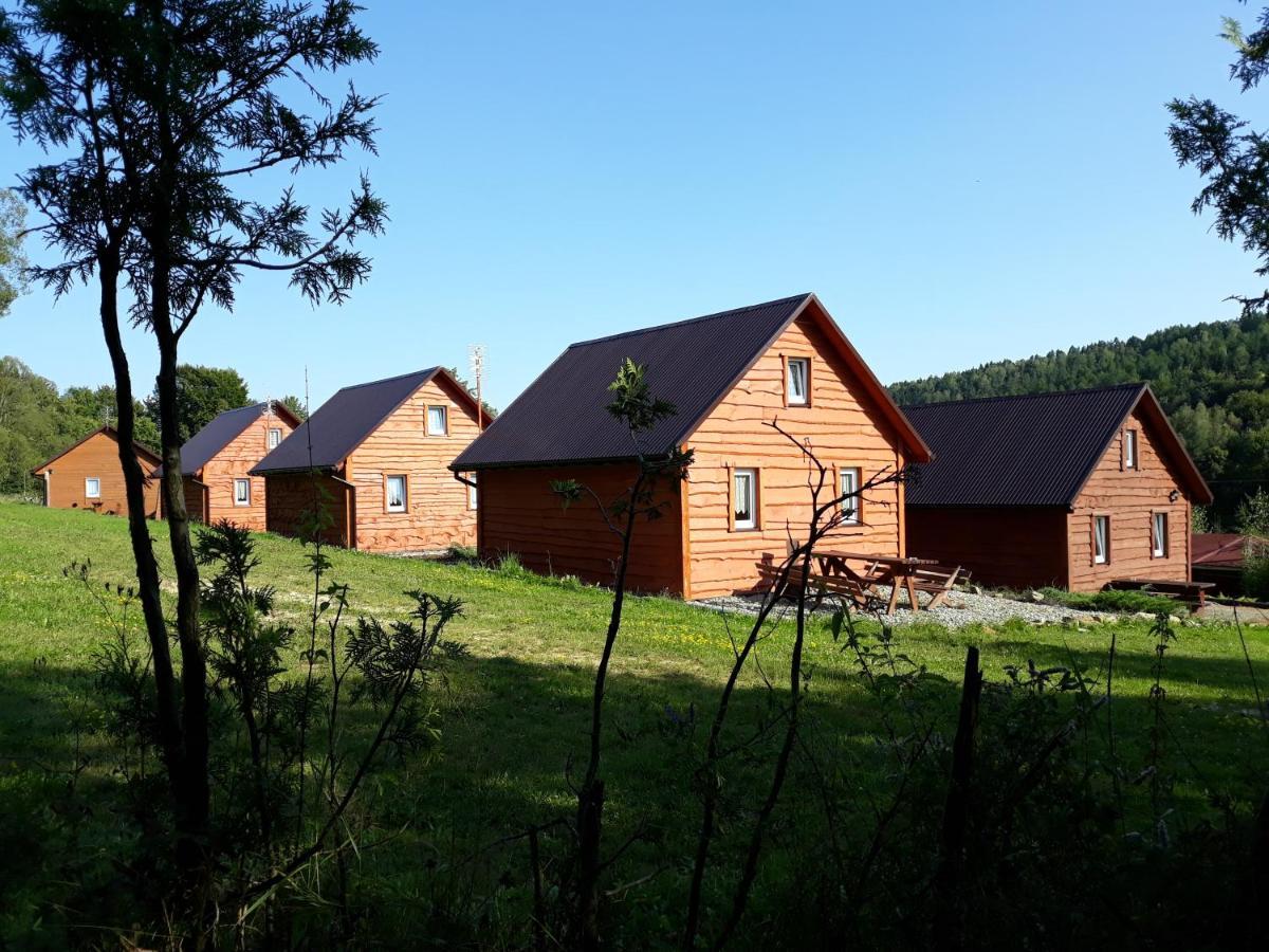 Villa U Źródeł Strwiąża Ustrzyki Dolne Exterior foto