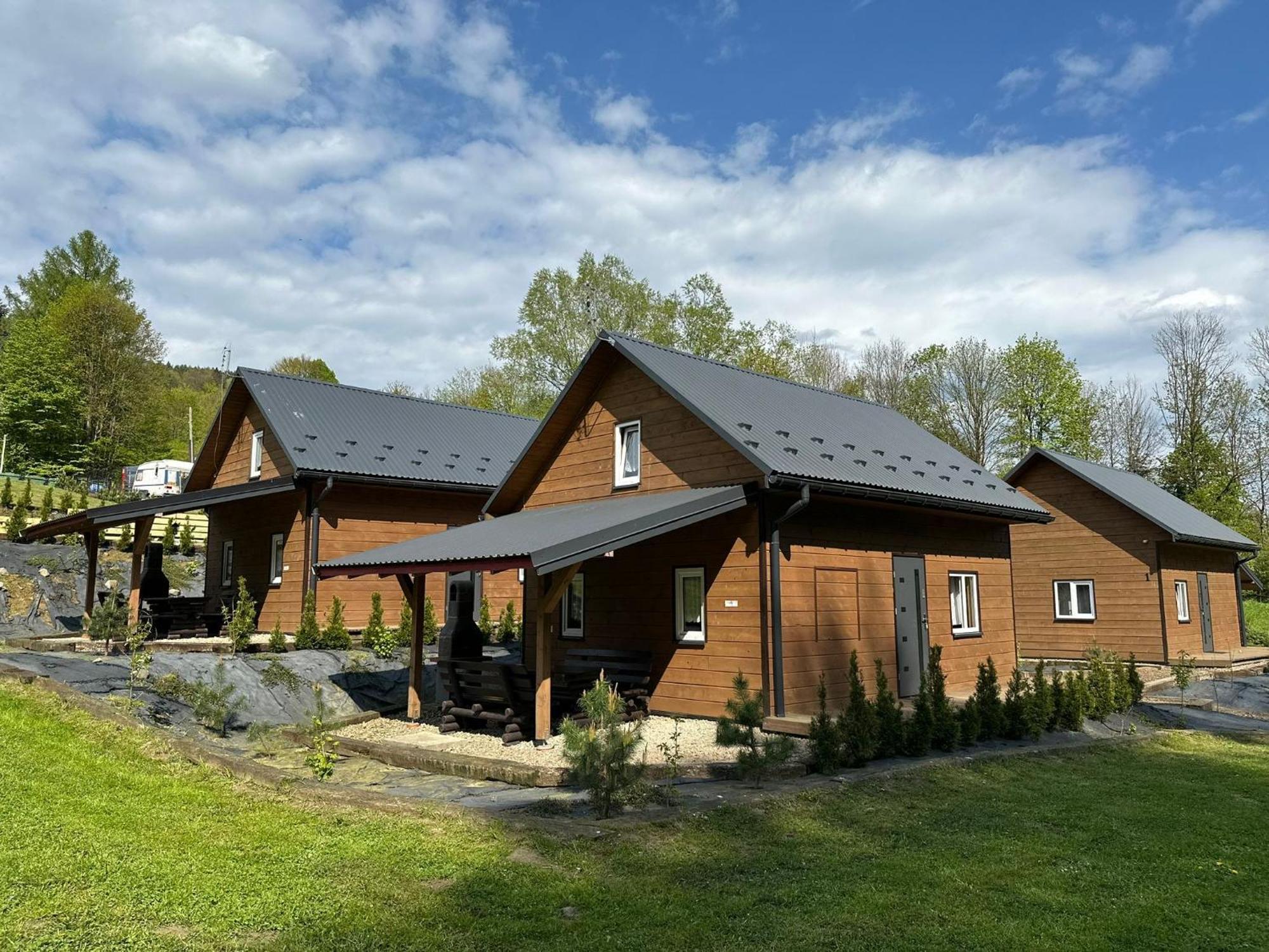 Villa U Źródeł Strwiąża Ustrzyki Dolne Exterior foto